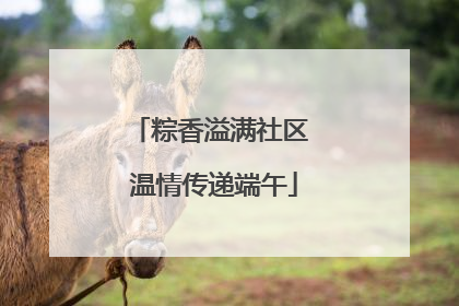 粽香溢满社区 温情传递端午