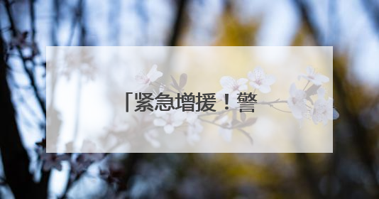紧急增援！警犬“天狼”出动找到走失老人