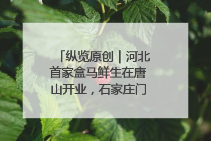 纵览原创｜河北首家盒马鲜生在唐山开业，石家庄门店预计8月开业