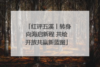 红评五溪丨转身向海启新程 共绘开放共赢新蓝图