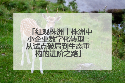 红观株洲丨株洲中小企业数字化转型：从试点破局到生态重构的进阶之路