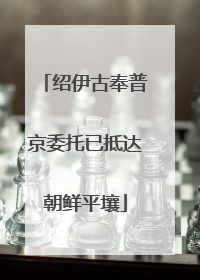 绍伊古奉普京委托已抵达朝鲜平壤