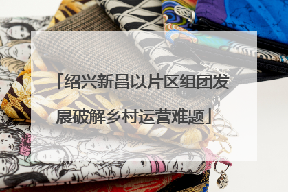 绍兴新昌以片区组团发展破解乡村运营难题