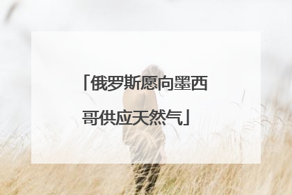 俄罗斯愿向墨西哥供应天然气