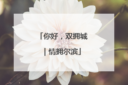 你好，双拥城｜情拥尔滨