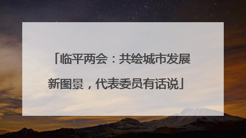 临平两会：共绘城市发展新图景，代表委员有话说