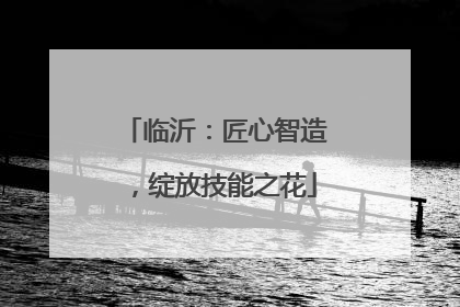 临沂：匠心智造，绽放技能之花