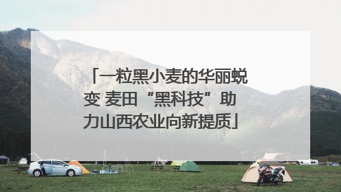 一粒黑小麦的华丽蜕变 麦田“黑科技”助力山西农业向新提质
