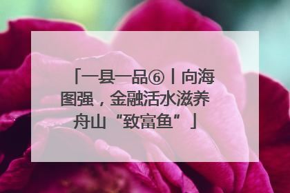 一县一品⑥丨向海图强，金融活水滋养舟山“致富鱼”