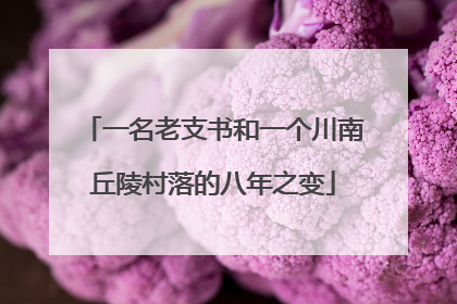 一名老支书和一个川南丘陵村落的八年之变