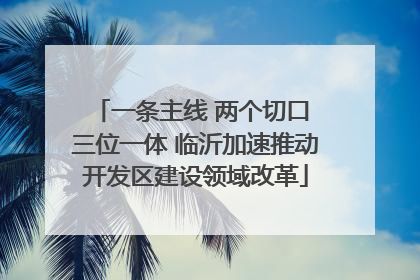 一条主线 两个切口 三位一体 临沂加速推动开发区建设领域改革