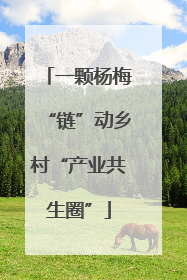 一颗杨梅“链”动乡村“产业共生圈”