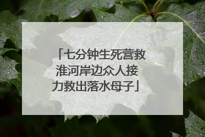 七分钟生死营救 淮河岸边众人接力救出落水母子