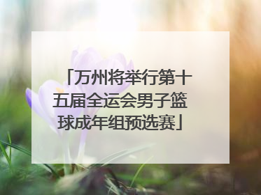 万州将举行第十五届全运会男子篮球成年组预选赛