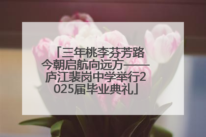 三年桃李芬芳路 今朝启航向远方——庐江裴岗中学举行2025届毕业典礼