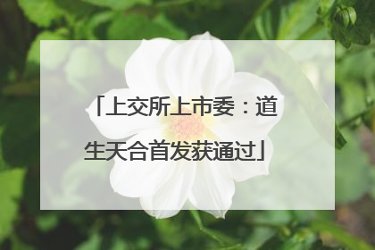 上交所上市委：道生天合首发获通过