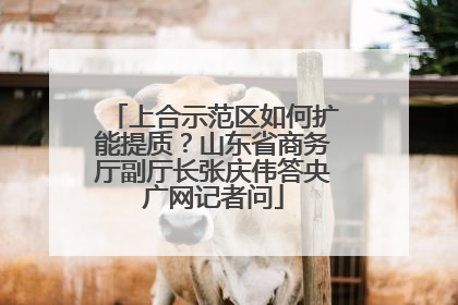 上合示范区如何扩能提质？山东省商务厅副厅长张庆伟答央广网记者问