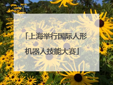 上海举行国际人形机器人技能大赛