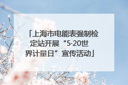 上海市电能表强制检定站开展“5·20世界计量日”宣传活动