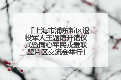 上海市浦东新区退役军人主题馆开馆仪式暨同心军民戎爱联盟片区交流会举行