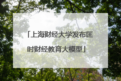 上海财经大学发布匡时财经教育大模型