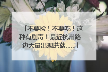 不要捡！不要吃！这种有剧毒！最近杭州路边大量出现蘑菇……
