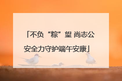不负“粽”望 尚志公安全力守护端午安康