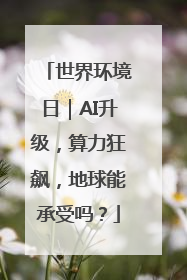 世界环境日｜AI升级，算力狂飙，地球能承受吗？