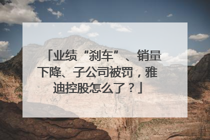 业绩“刹车”、销量下降、子公司被罚，雅迪控股怎么了？