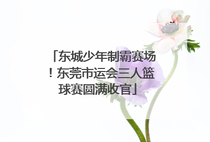 东城少年制霸赛场！东莞市运会三人篮球赛圆满收官