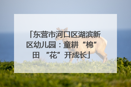 东营市河口区湖滨新区幼儿园：童耕“棉”田 “花”开成长