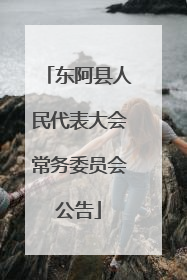 东阿县人民代表大会常务委员会公告