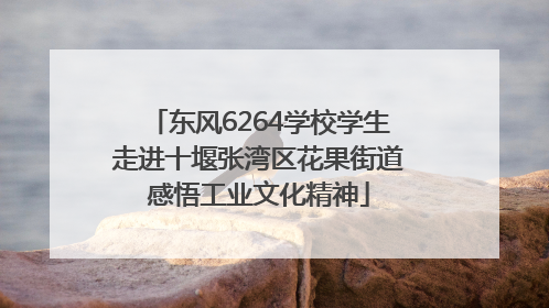 东风6264学校学生走进十堰张湾区花果街道感悟工业文化精神