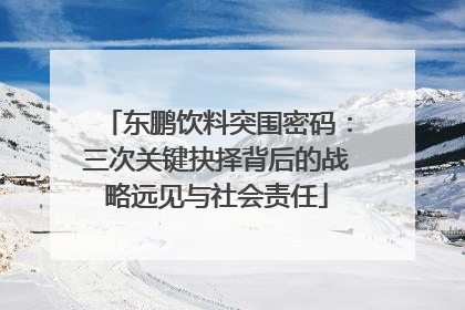 东鹏饮料突围密码：三次关键抉择背后的战略远见与社会责任