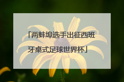 两蚌埠选手出征西班牙桌式足球世界杯