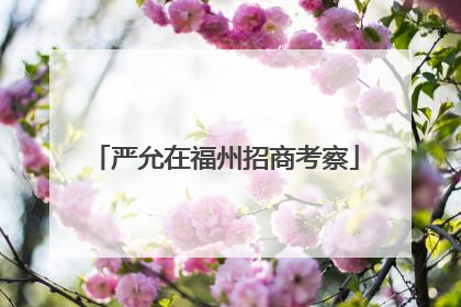 严允在福州招商考察