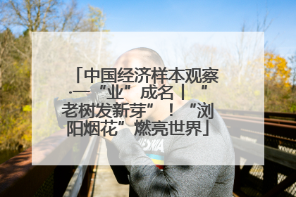 中国经济样本观察·一“业”成名丨“老树发新芽”！“浏阳烟花”燃亮世界