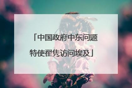 中国政府中东问题特使翟隽访问埃及