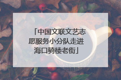 中国文联文艺志愿服务小分队走进海口骑楼老街
