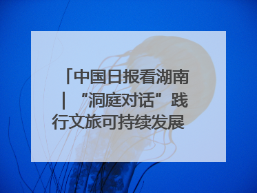 中国日报看湖南｜“洞庭对话”践行文旅可持续发展的生态之约