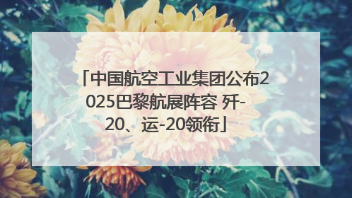 中国航空工业集团公布2025巴黎航展阵容 歼-20、运-20领衔