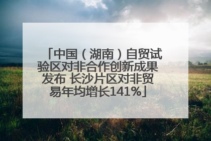 中国（湖南）自贸试验区对非合作创新成果发布 长沙片区对非贸易年均增长141%