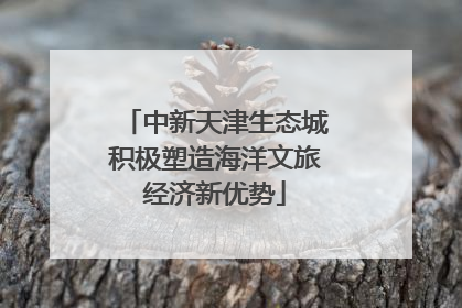 中新天津生态城积极塑造海洋文旅经济新优势
