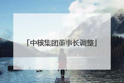 中核集团董事长调整