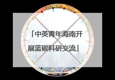 中英青年海南开展蓝碳科研交流