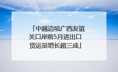 中越边境广西友谊关口岸前5月进出口货运量增长超三成