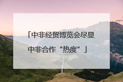 中非经贸博览会尽显中非合作“热度”