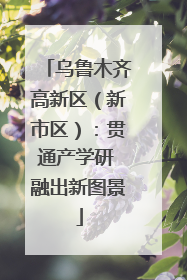 乌鲁木齐高新区（新市区）：贯通产学研 融出新图景