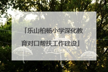 乐山柏杨小学深化教育对口帮扶工作建设