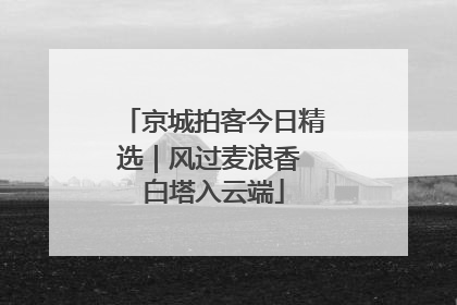 京城拍客今日精选｜风过麦浪香 白塔入云端